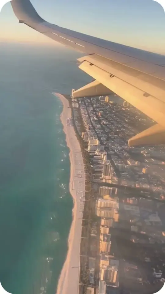 Florida Feelings